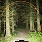 📢📢40% OFF !! ⏰Rechargeable 28-LED Bicycle Headlight with Horn