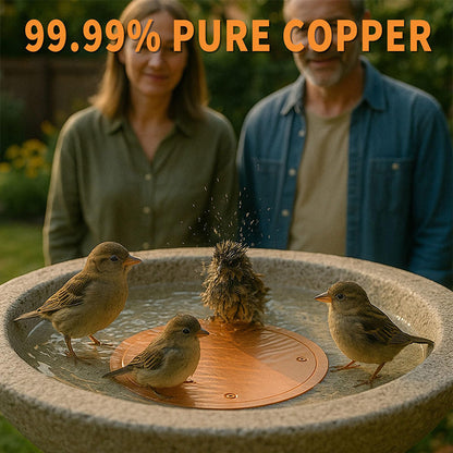 📢📢40% OFF !! ⏰Natural Algae Inhibitor for Bird Baths & Fountains