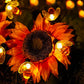 📢📢40% OFF !! ⏰Cute Bee Solar Lights