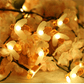 📢📢40% OFF !! ⏰Cute Bee Solar Lights