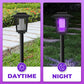 📢📢40% OFF !! ⏰Solar Bug Zapper Outdoor