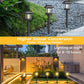 📢📢40% OFF !! ⏰Outdoor Waterproof Solar Pathway Light - 2 Pack/Set