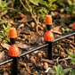 📢📢40% OFF !! ⏰ DIY Micro Drip Irrigation Kit