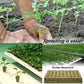 📢📢50% OFF !! ⏰Soilless Cultivation Seedlings
