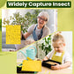 Super-Sticky Double-Sided Insect Traps (20 Pack)