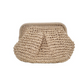 🏆LAST DAY SALE 50% OFF🔥Handwoven Straw Handbag for Women