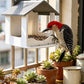 📢📢40% OFF !! ⏰Hanging House Bird Feeder for Outdoor Gardens