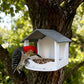📢📢40% OFF !! ⏰Hanging House Bird Feeder for Outdoor Gardens