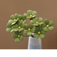 📢📢40% OFF !! ⏰Everlasting Ceramic Floral Decoration