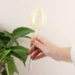 📢📢40% OFF !! ⏰Automatic Tulip-Shaped Plant Watering Globe