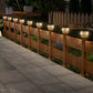 Solar Powered LED Post Cap Light
