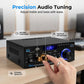 📢📢50% OFF !! ⏰Digital Amplifier for Karaoke and Music