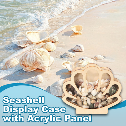 📢📢40% OFF !! ⏰Seashell Display Case with Acrylic Panel