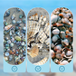 📢📢40% OFF !! ⏰Seashell Display Case with Acrylic Panel