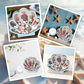 📢📢40% OFF !! ⏰Seashell Display Case with Acrylic Panel