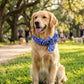 📢📢Buy 1 get 1 free !! ⏰❄️Summer Pet Cooling Collar Wrap