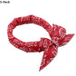 📢📢Buy 1 get 1 free !! ⏰❄️Summer Pet Cooling Collar Wrap