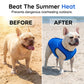 🐶🐱❄️Cooling Dog Vest