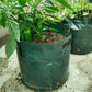 📢📢50% OFF !! ⏰18/26/38L Large Capacity Potato Grow Planter PE Container Bag Pouch Tomato Vegetables Garden Outdoor
