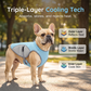 📢📢40% OFF !! ⏰Dog Cooling Vest Harness for Summer
