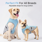 📢📢40% OFF !! ⏰Dog Cooling Vest Harness for Summer