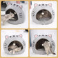 ⛺🛋️ 50% OFF! 🐾2-in-1 Pet Tent & Bed – Convertible cat cave with removable cushion, spacious for cats & small dogs.