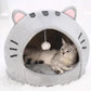 ⛺🛋️ 50% OFF! 🐾2-in-1 Pet Tent & Bed – Convertible cat cave with removable cushion, spacious for cats & small dogs.