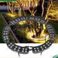 📢📢40% OFF !!⏰💡 Ring-Shaped Solar Tree Lights – Weatherproof Outdoor Spotlights Ideal for Trees, Pillars, and Gardens