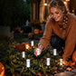 ✨ 50% OFF NOW! 🔮 Solar Crystal Pathway Lights – No Wiring, Zero Electricity Cost – Magical Garden Lighting 🌙