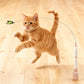 📢📢50% OFF !! ⏰Fun Interactive Suction Cup Cat Wand Toy😻
