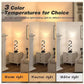 Modern Double Helix Table Lamp