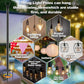 Outdoor String Light Pole