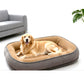 🐾 LIMITED-TIME 50% OFF! ☁️ All‑Season Ergonomic Comfort Pet Bed – Snug, Breathable, Cozy ✨