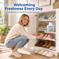 Shoe Cabinet Deodorizer Gel