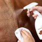 📢📢50% OFF !! ⏰Leather Conditioner & Protector Spray