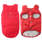 🐕 Save 50%! 🧥 Hooded Dog Coat – Fleece‑lined, windproof & built‑in harness ✨