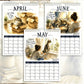🐱🔥 50% OFF! 2027 A Cats Life Wall Calendar – Monthly Cute Cat Photos, Large Date Grid, Holiday Markings, Thick Paper, Hang-Anywhere Home & Office Decor ✨