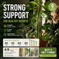 📢📢BUY 2 GET 1 FREE !! ⏰A semi-circular support frame to prevent drooping flowers, suitable for hydrangeas, roses, monstera, indoor potted plants, and outdoor garden vegetables.