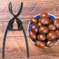 📢📢50%  OFF !! ⏰2-in-1 Chestnut & Nut Cracker
