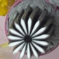 📢📢50%  OFF !! ⏰Professional Nail Art Stamping Tool Kit